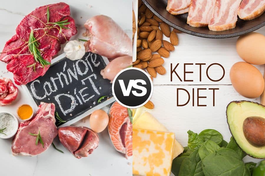 Carnivore Diet vs Keto Diet