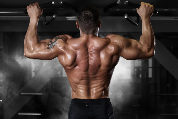 10 Best Back Exercises