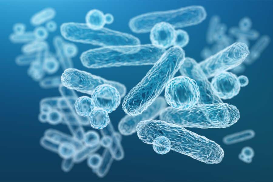 Probiotics