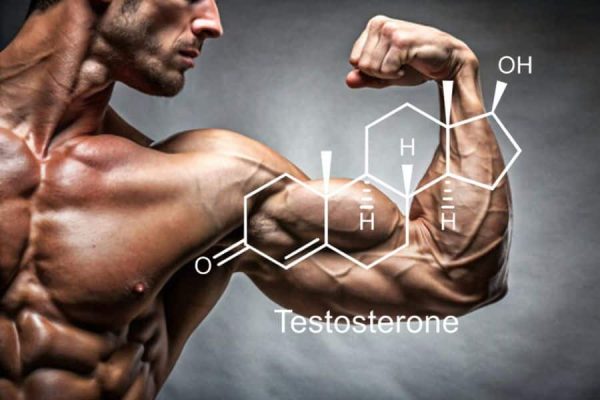 Testosterone Booster