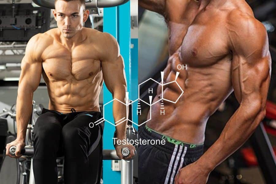 Testosterone Booster